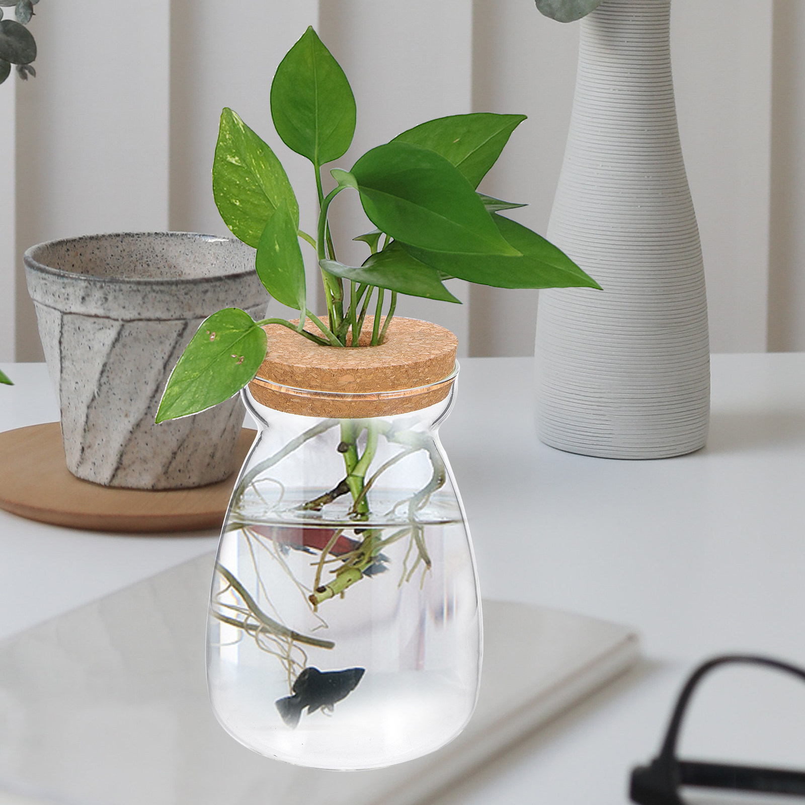 Aquarium Plant Gravel - ガラス製テラリウムジャー 透明生態系容器 多肉植物用 海の扇子貝 貝殻 水槽