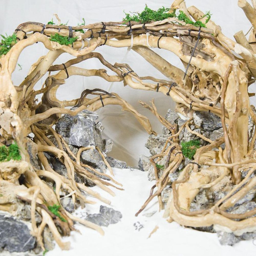 Aquarium Planted Substrate - 木製N1N爬虫類タンク背景水槽装飾造園天然木の幹カッコウ根流木植物切り株