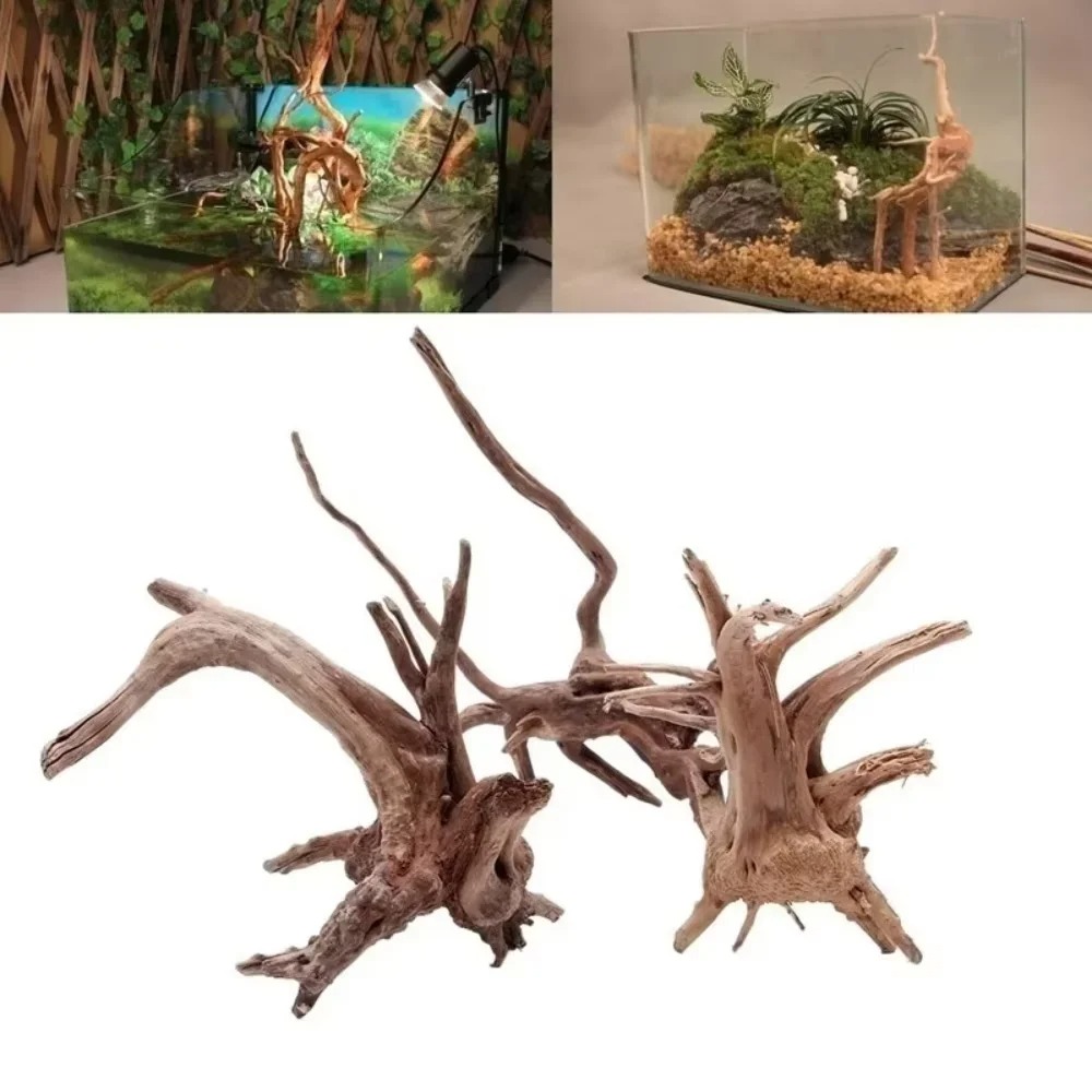Aquarium Planted Substrate - 15～20cm天然流木水槽飾り - プレミアム木製水槽オーナメント、本物の木製造園で水生環境を演出