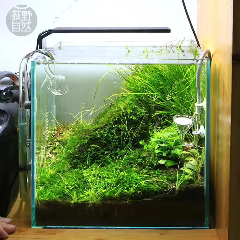 Aquarium Plant Growth Light - Chihiros C シリーズ ADA スタイル植物成長 LED