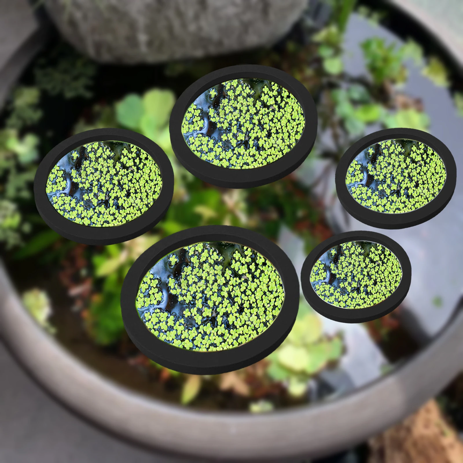 Aquarium For Planted Tank - 5 個 EVA 魚給餌リング水族館浮遊植物囲い水槽フロート植物バリア水族館の池 Accessorie 植物リング