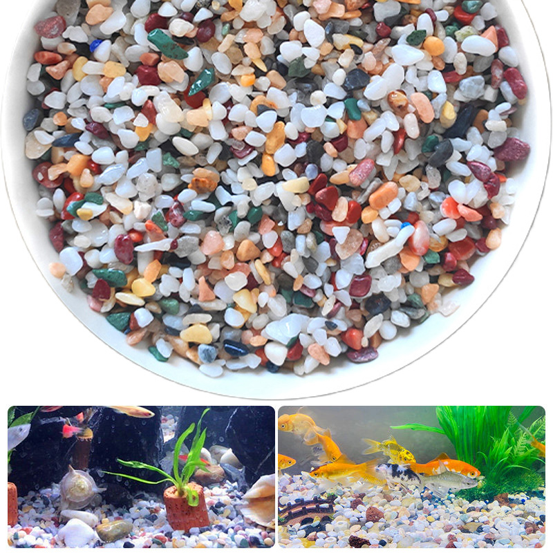 Aquarium Plant Gravel - 天然砂利石 200 〜 1000 グラムマイクロ風景庭園水槽装飾鉢植え植物水槽底砂 DIY