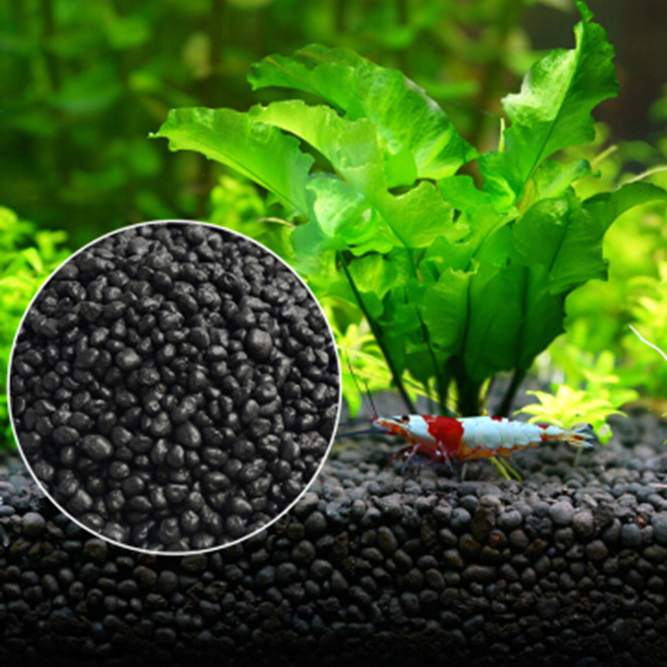 Aquarium Plant Grass - 水族館植物の種子,水槽の素材,砂,土壌肥料,魚の手入れ,淡水水族館の付属品