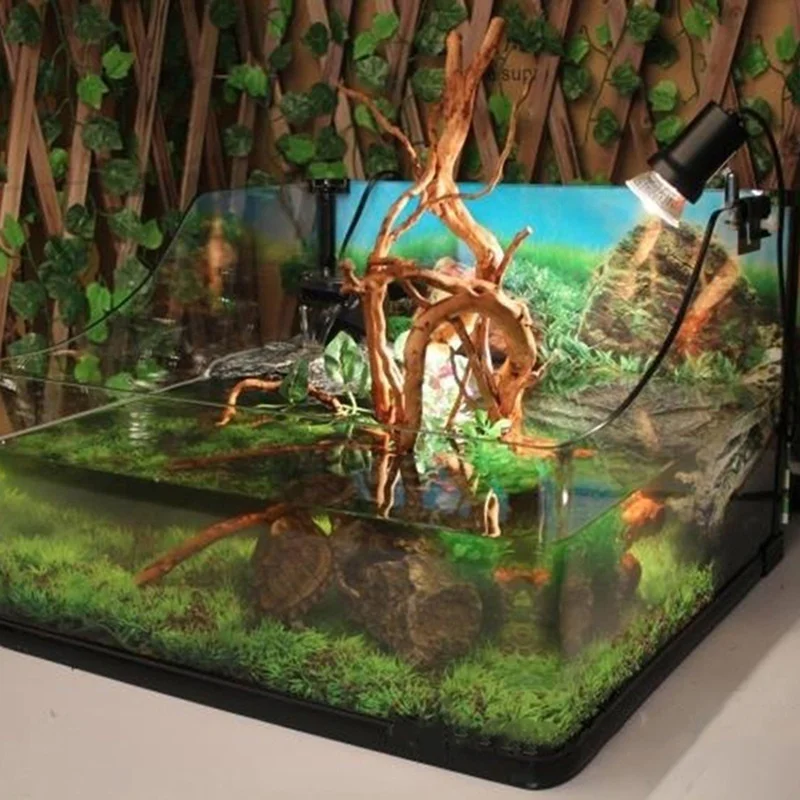 Planted Aquarium Making - 天然木の幹流木水族館の水槽爬虫類シリンダー作る根植物木の装飾飾りホームペット用品