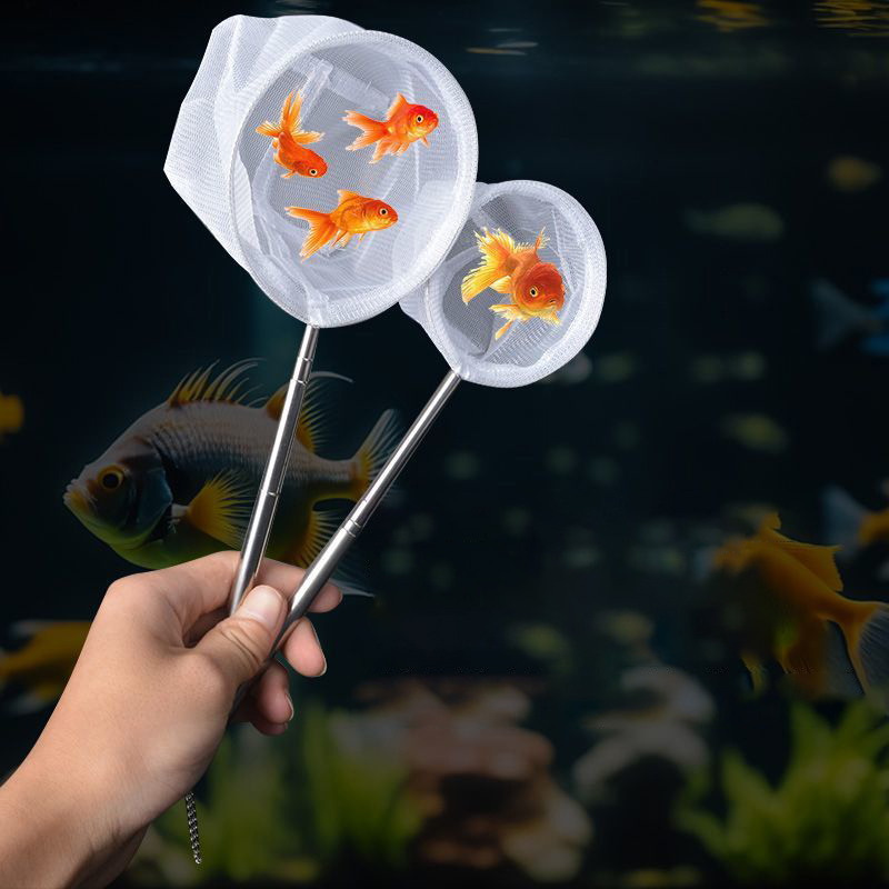 (BF06)水族館の魚釣り網ステンレス鋼格納式小型エビ釣り網 - Planted Aquarium Cleaning のレビューと価格