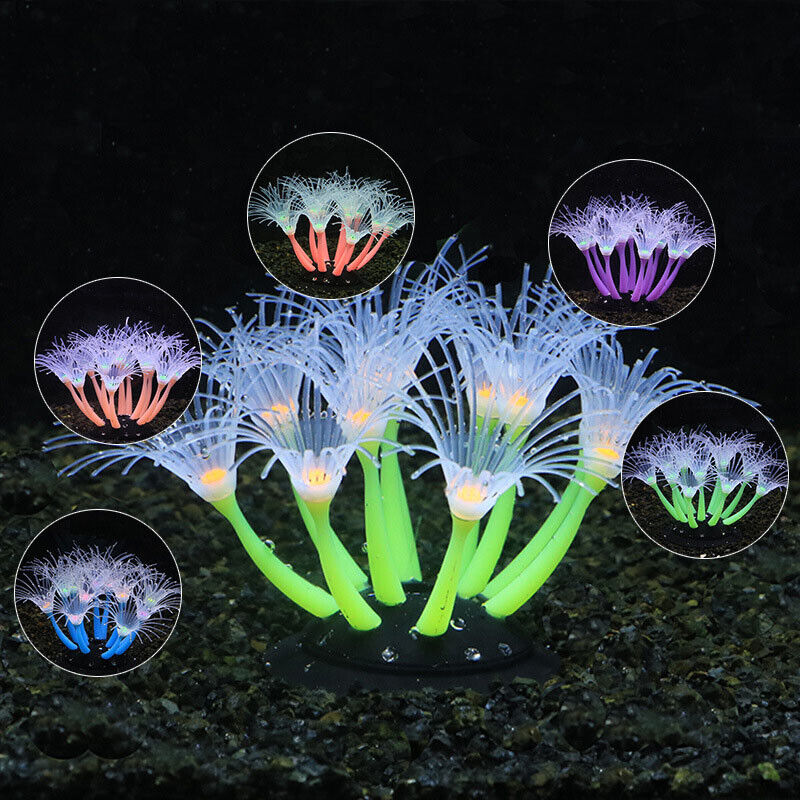 シリコン製光る景観人工魚タンク水槽蛍光サンゴひまわり海葵植物 - Aquarium Planted Substrate のレビューと価格