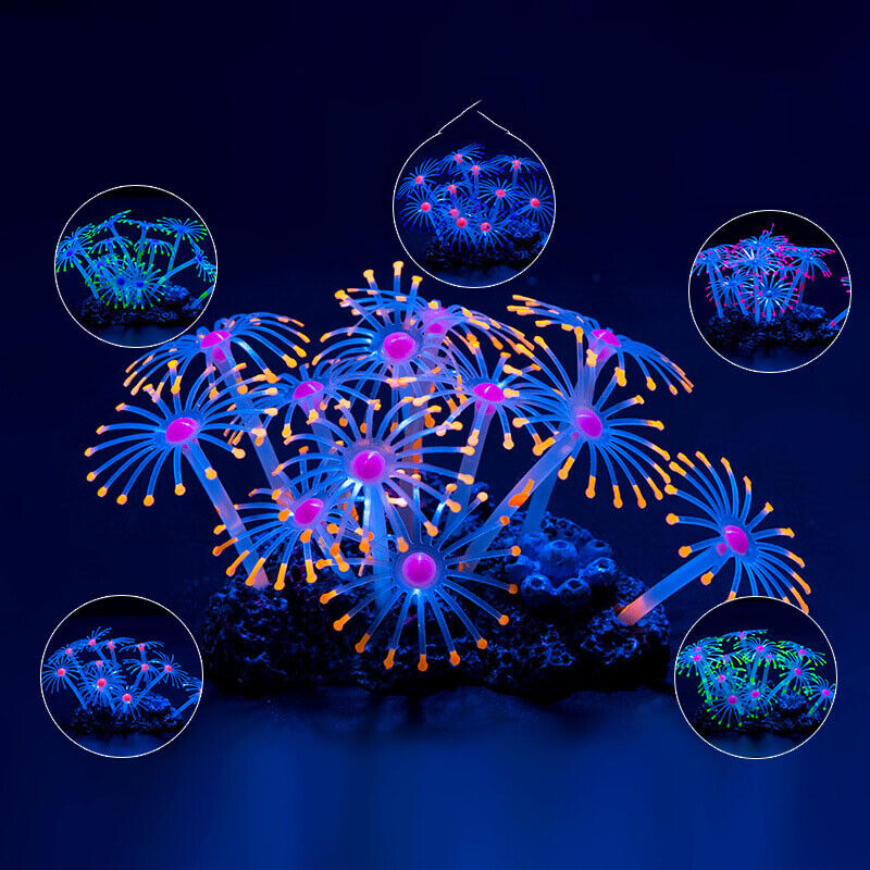 シリコン製光る景観人工魚タンク水槽蛍光サンゴひまわり海葵植物 - Aquarium Planted Substrate のレビューと価格