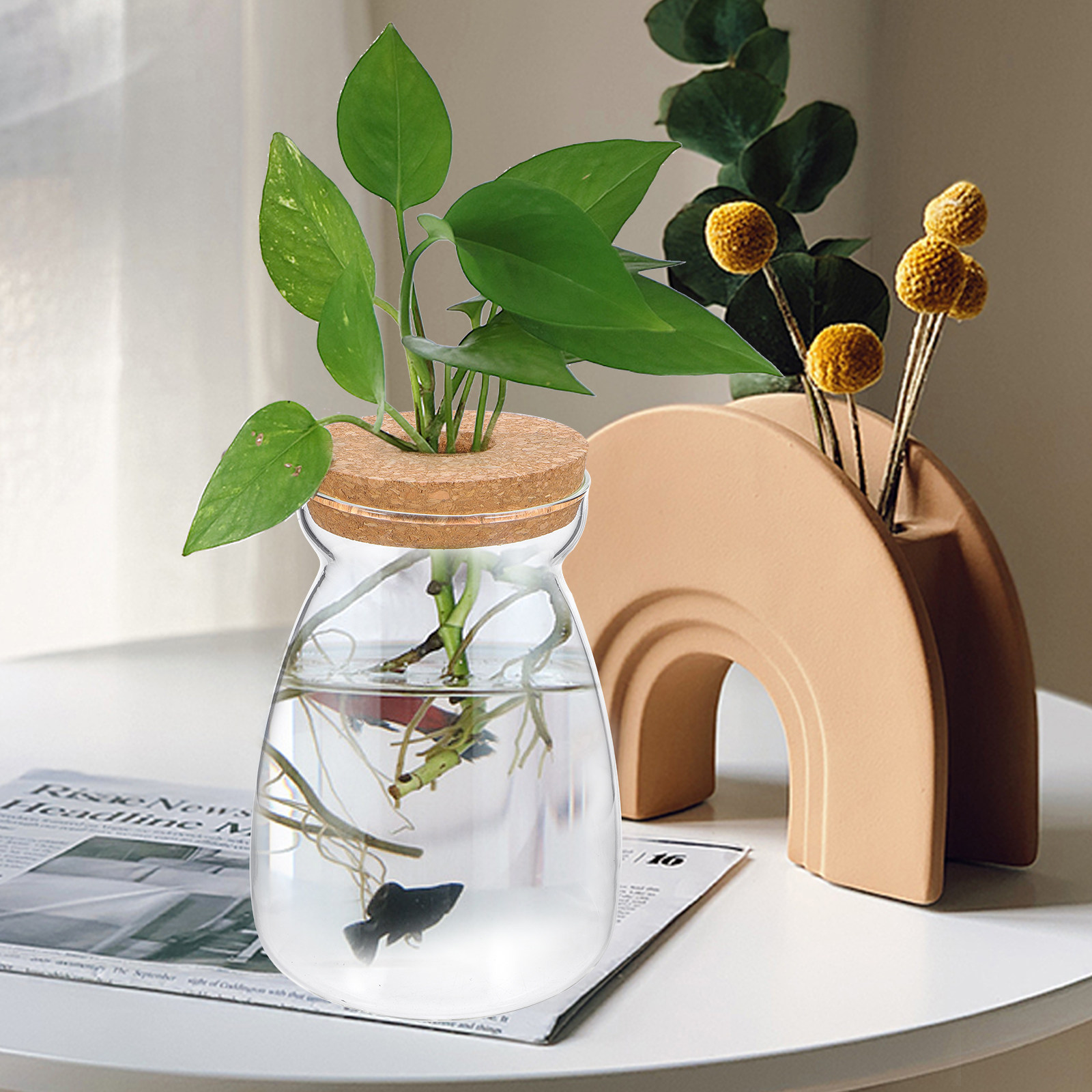 ガラス製テラリウムジャー 透明生態系容器 多肉植物用 海の扇 - Aquarium Plant Gravel のレビューと価格