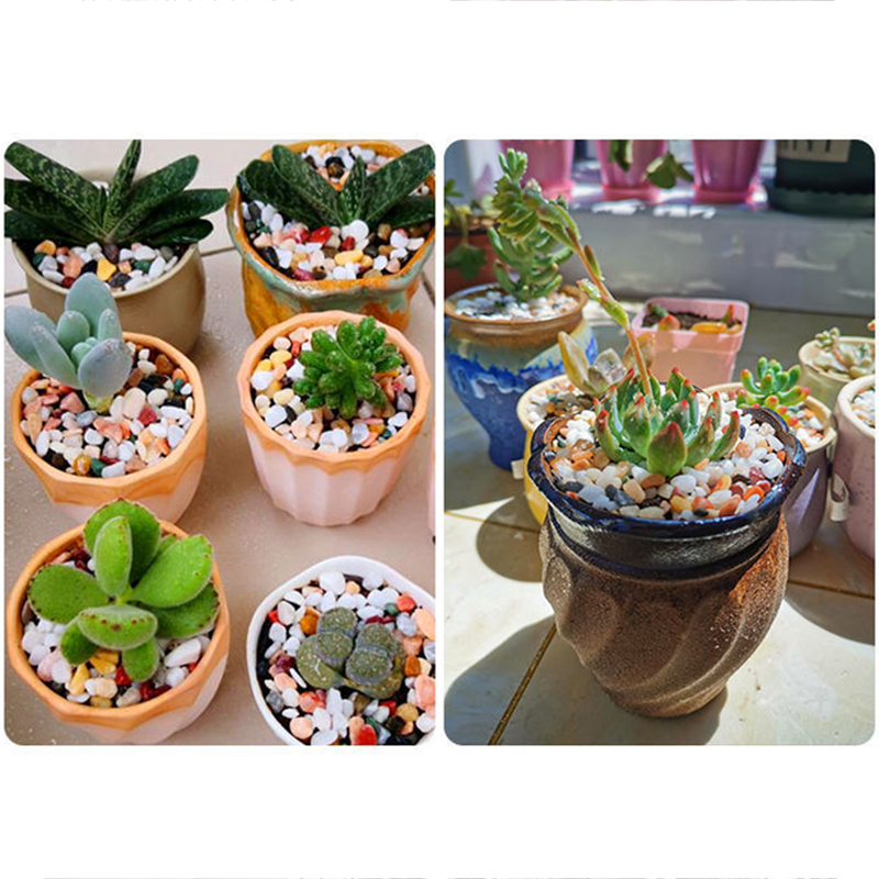 5mm 天然水槽砂 200g-800g 水槽砂利底材 水生植 - Aquarium Plant Gravel のレビューと価格