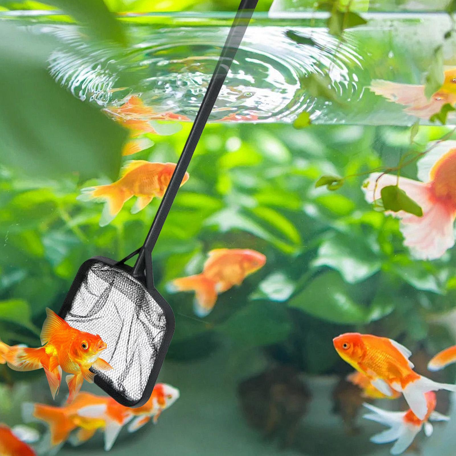 プールネット 清掃用 ポータブルプールストレーナーネット 噴 - Planted Aquarium Cleaning のレビューと価格
