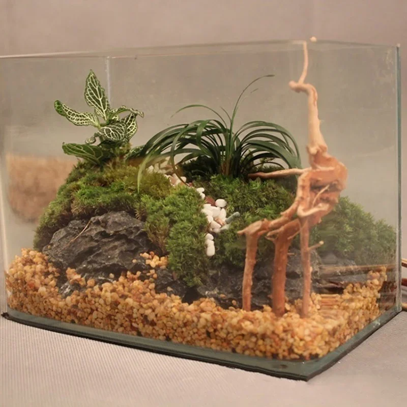 水族館、魚のタンク、爬虫類の根の植物、木の装飾、装飾アクセサ - Aquarium Planted Substrate のレビューと価格