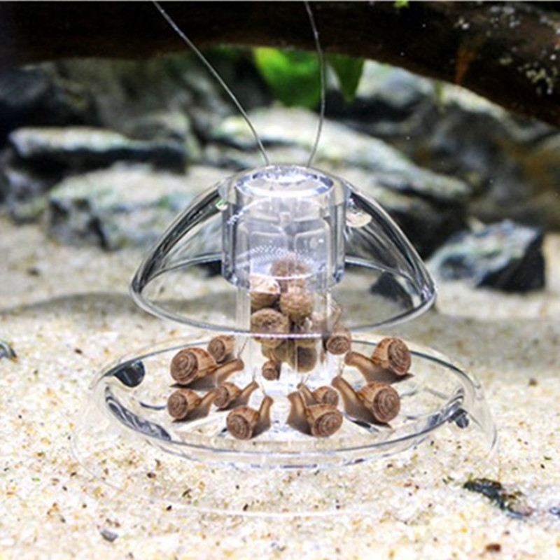 1 個水槽水族館クリーナーカタツムリトラップキャッチャー植物 - Planted Aquarium Cleaning のレビューと価格