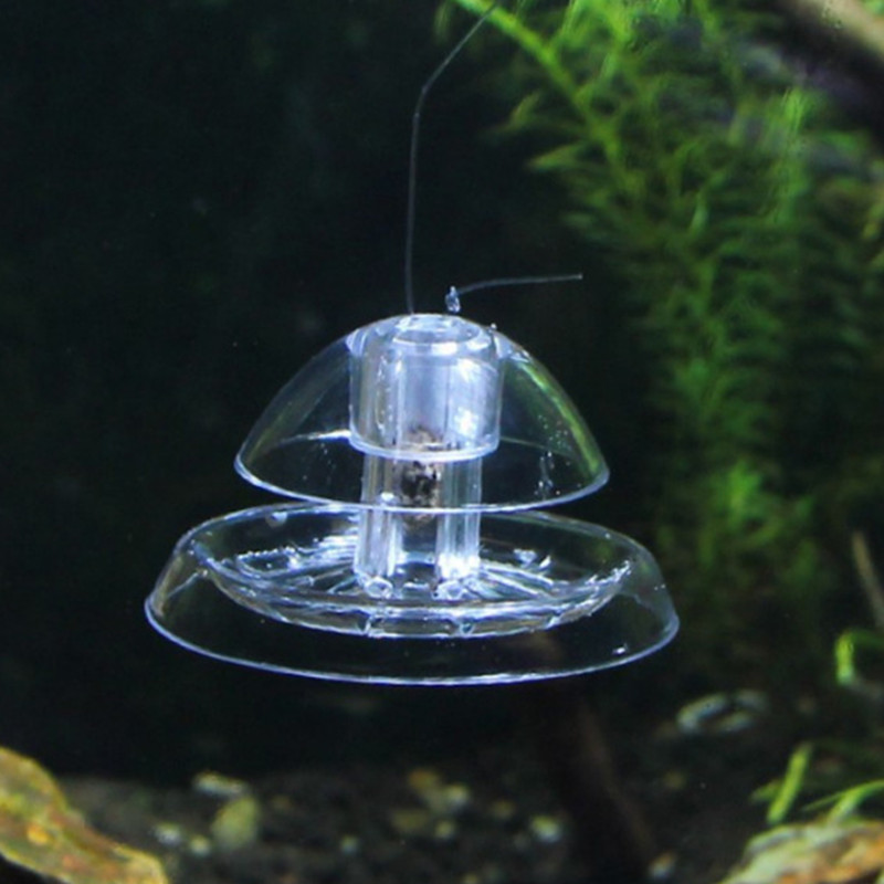 1 個水槽水族館クリーナーカタツムリトラップキャッチャー植物 - Planted Aquarium Cleaning のレビューと価格