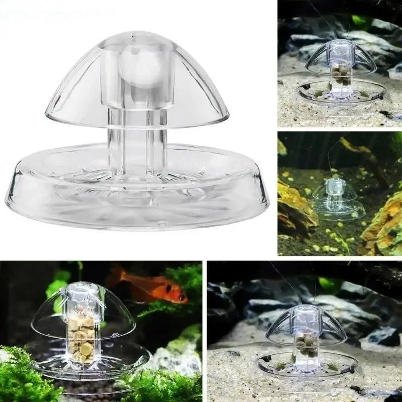 2026年新発売 6/8CM 透明プラスチック製カタツムリ捕 - Planted Aquarium Cleaning のレビューと価格