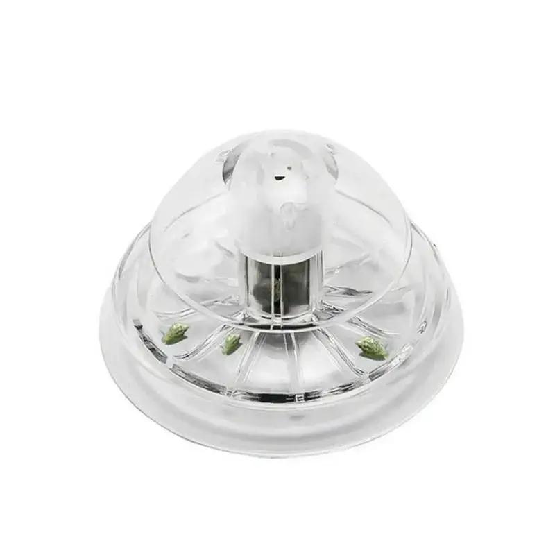 2026年新発売 6/8CM 透明プラスチック製カタツムリ捕 - Planted Aquarium Cleaning のレビューと価格