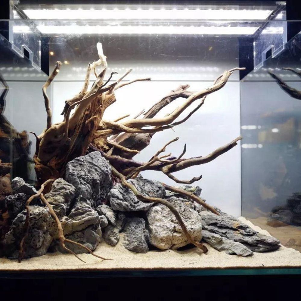 木製N1N爬虫類タンク背景水槽装飾造園天然木の幹カッコウ根流 - Aquarium Planted Substrate のレビューと価格