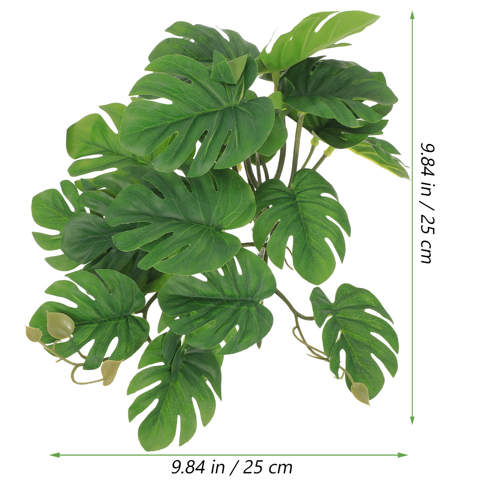 安全で無毒な爬虫類用植物、テラリウム、トカゲボックス、水槽、 - Non Planted Aquarium Fish のレビューと価格