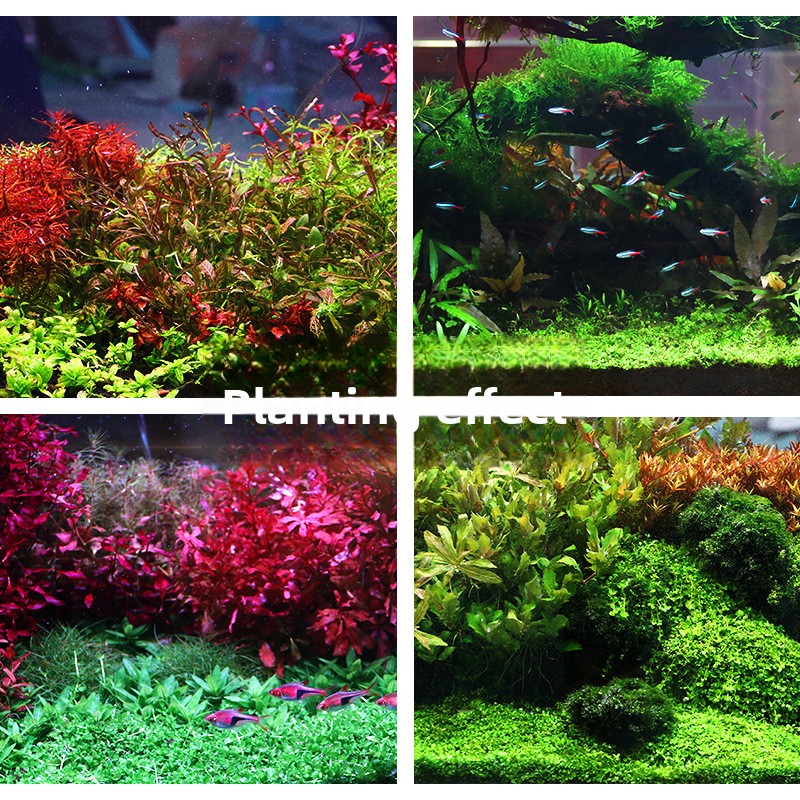 SYSENCIAGA 水草水槽用培地土壌-栄養豊富な底砂-水 - Aquarium Plant Gravel のレビューと価格