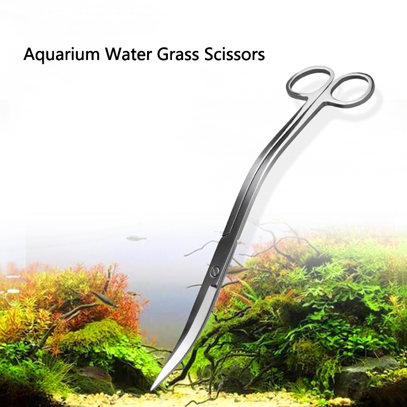 ステンレス鋼の湾曲した水族館の剪定ばさみ,水族館の植物および - Aquarium Plant Grass のレビューと価格