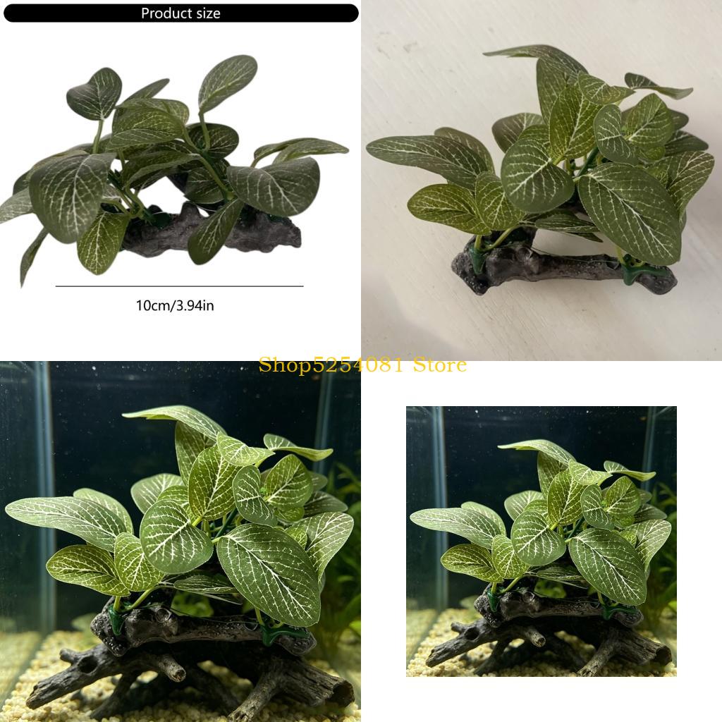 AXYC 水族館風景流木 植物付き 人工樹脂流木の枝 - Non Planted Aquarium Fish のレビューと価格