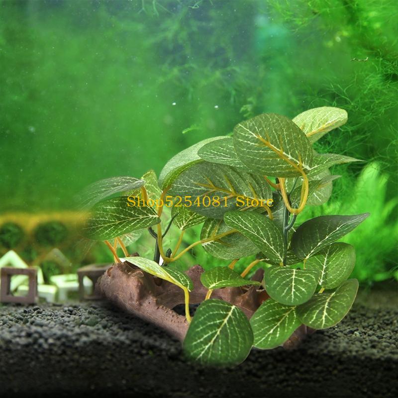 AXYC 水族館風景流木 植物付き 人工樹脂流木の枝 - Non Planted Aquarium Fish のレビューと価格