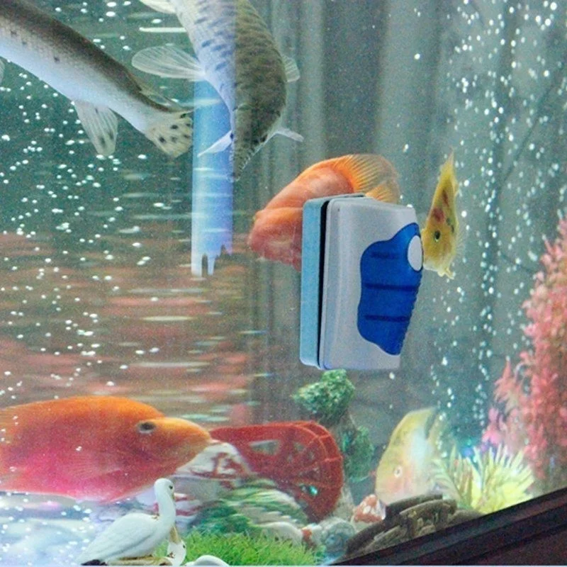 水族館用の超磁性ガラススクレーパー,洗浄ブラシ - Planted Aquarium Cleaning のレビューと価格