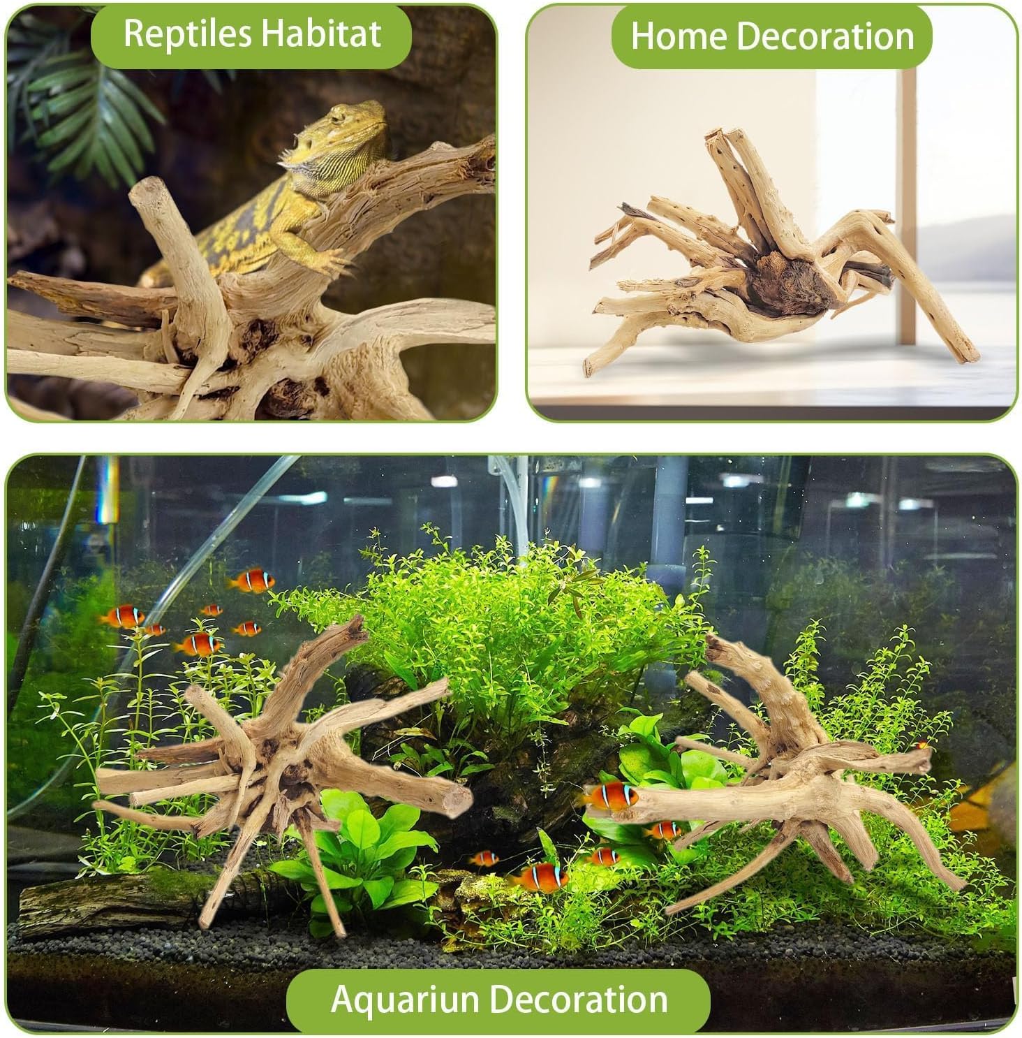 1PC 20-25CM 天然流木スパイダーウッド水槽用爬虫類 - Aquarium Planted Substrate のレビューと価格
