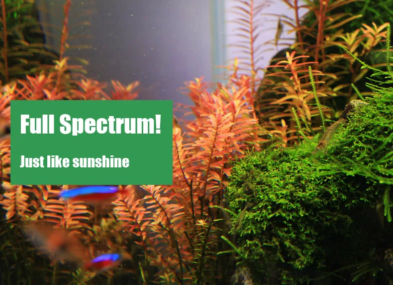 Chihiros C シリーズ ADA スタイル植物成長 L - Aquarium Plant Growth Light のレビューと価格