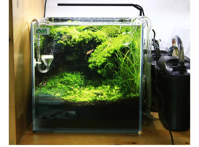 Chihiros C シリーズ ADA スタイル植物成長 L - Aquarium Plant Growth Light のレビューと価格