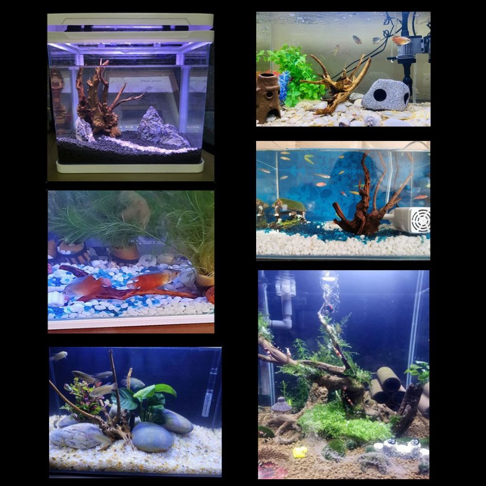 天然木のトランクの装飾水族館の装飾流木の枝造園の装飾品水槽の - Aquarium Planted Substrate のレビューと価格