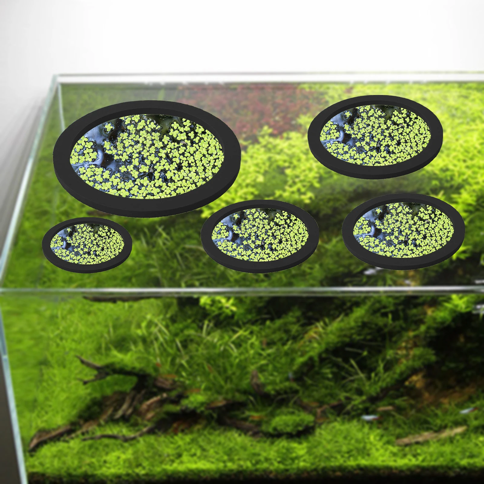 5 個 EVA 魚給餌リング水族館浮遊植物囲い水槽フロート植 - Aquarium For Planted Tank のレビューと価格