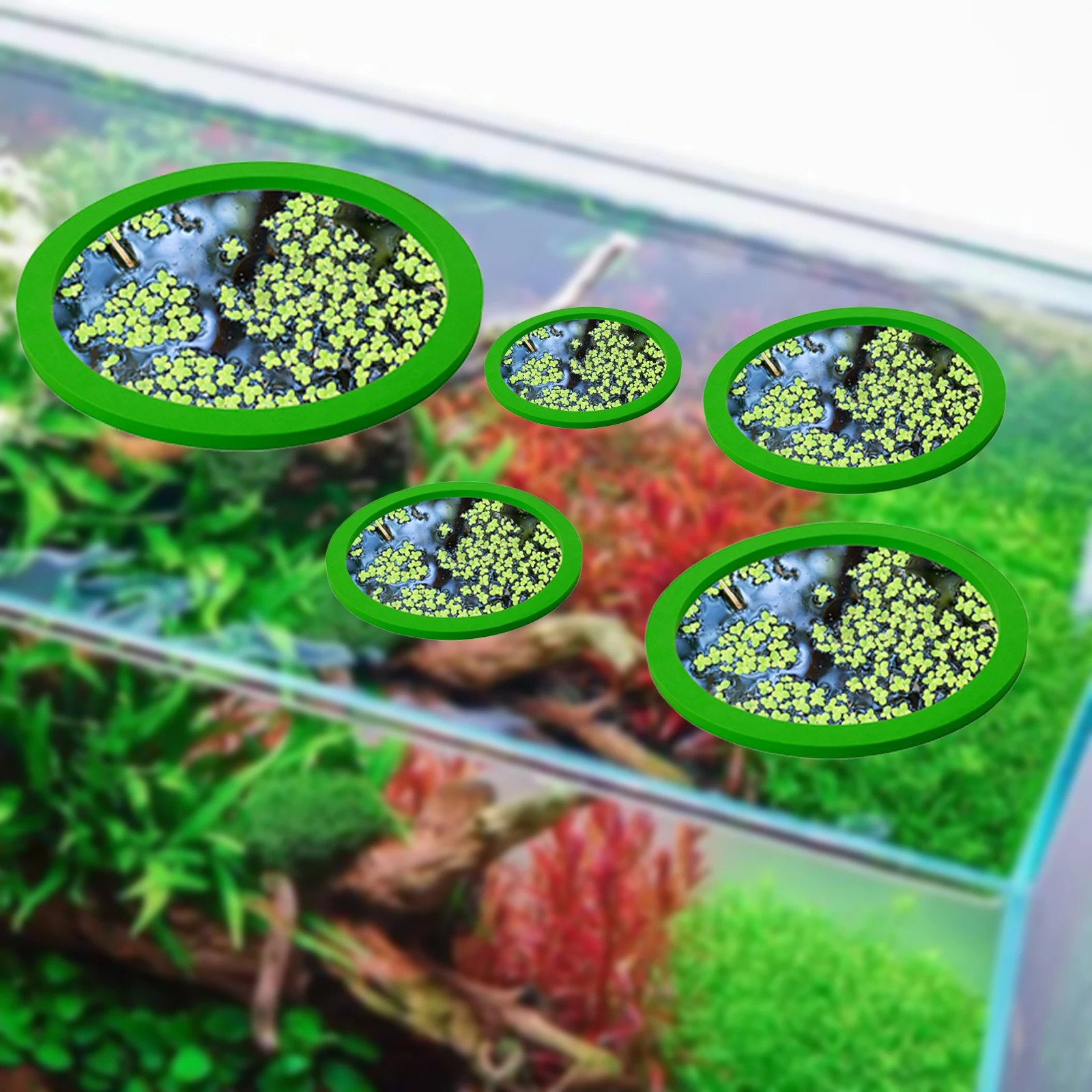5 個 EVA 魚給餌リング水族館浮遊植物囲い水槽フロート植 - Aquarium For Planted Tank のレビューと価格