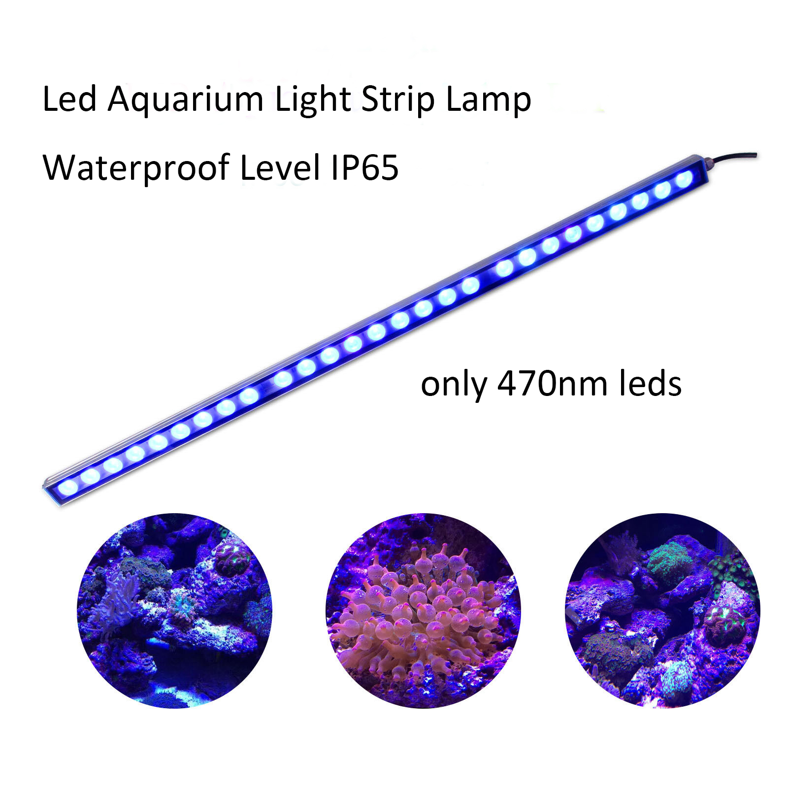 防水LEDストリップライト,54W,81W,108W,リーフ - Aquarium Plant Growth Light のレビューと価格