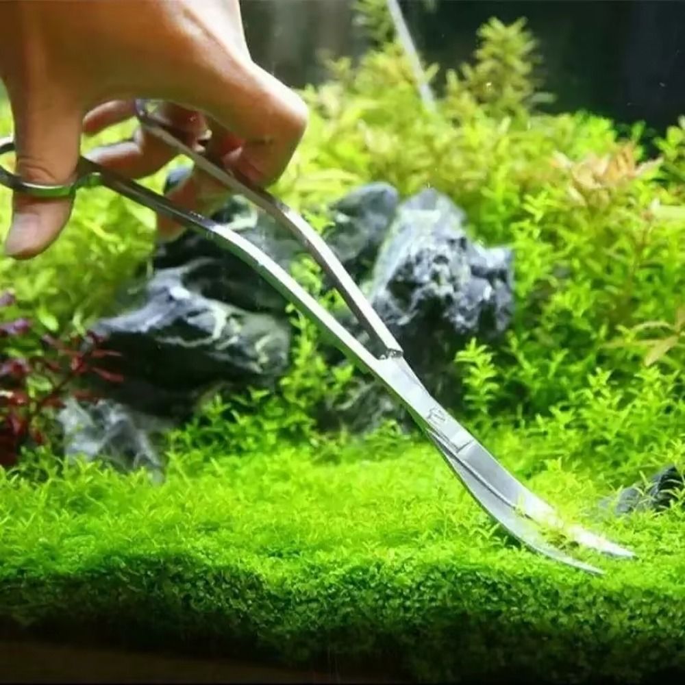 1個入り ステンレス製水槽用ハサミ 直線・曲線兼用 25cm - Aquarium Plant Grass のレビューと価格