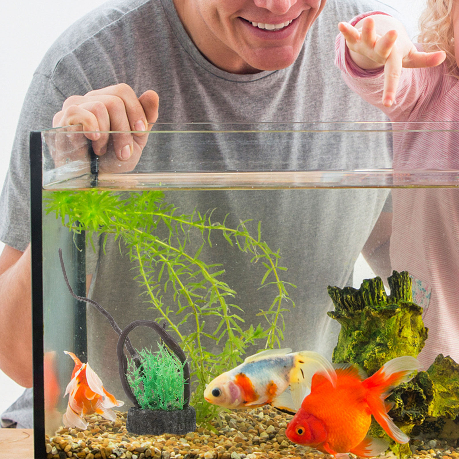 リアルな人工水槽用植物セット、安全で無毒な生きている水草のよ - Non Planted Aquarium Fish のレビューと価格