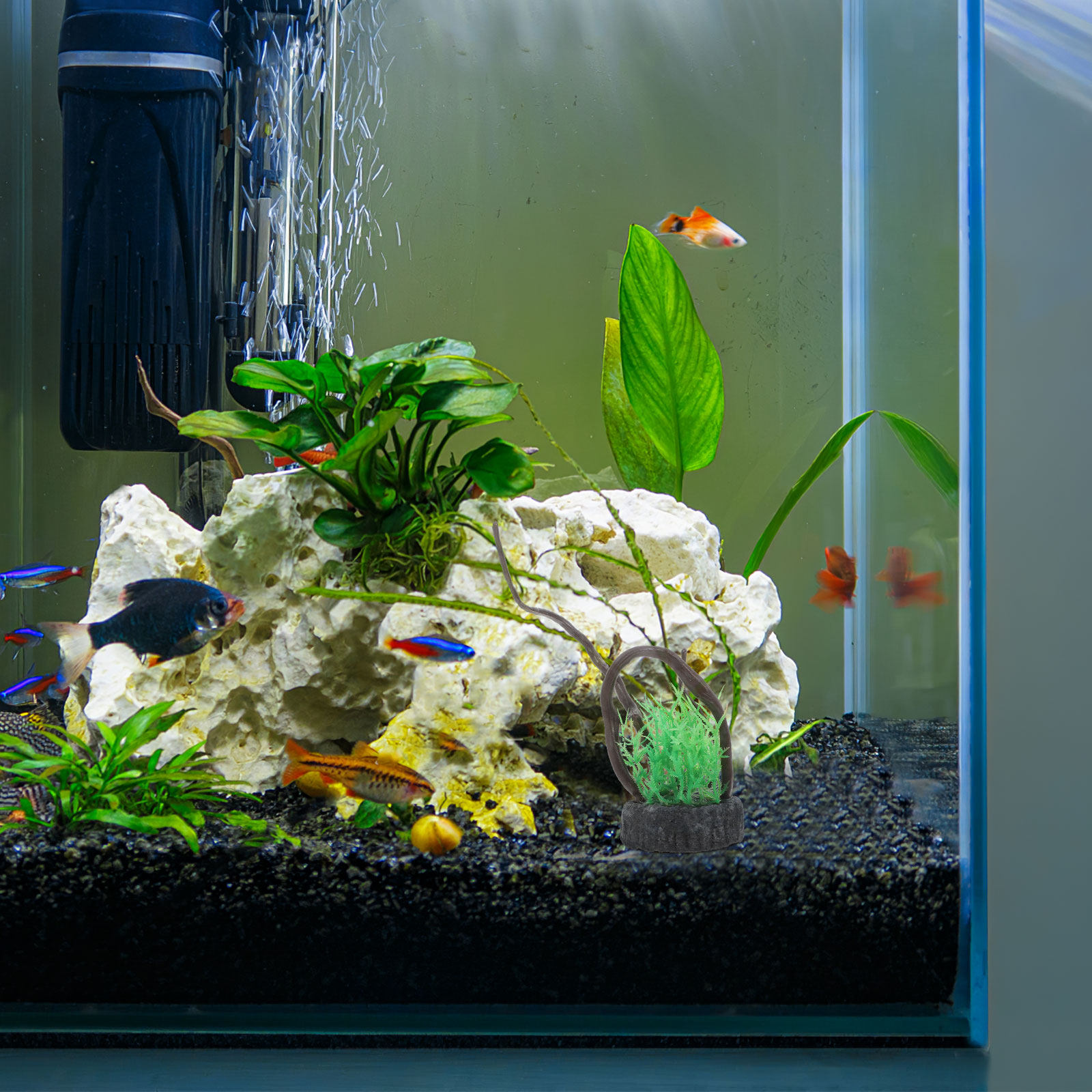 リアルな人工水槽用植物セット、安全で無毒な生きている水草のよ - Non Planted Aquarium Fish のレビューと価格