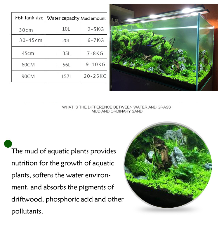水族館植物の種子,水槽の素材,砂,土壌肥料,魚の手入れ,淡水 - Aquarium Plant Grass のレビューと価格