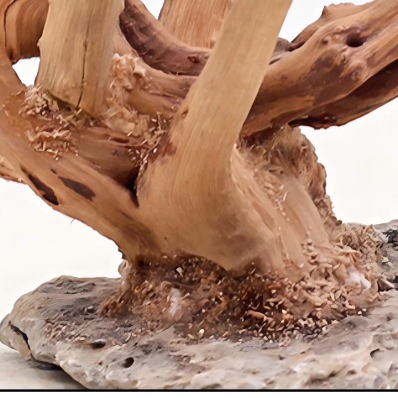家のための木の装飾品,1ピース,造園,魚の木,家のための根の - Aquarium Planted Substrate のレビューと価格