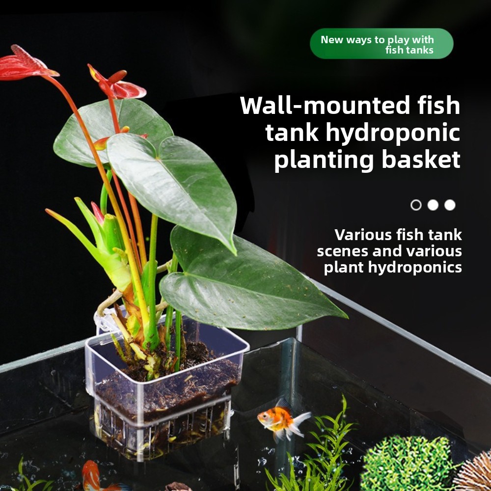 水槽水耕栽培用植木鉢 魚用バブルカップ 水草カップ 魚タンク - Aquarium Plant Grass のレビューと価格
