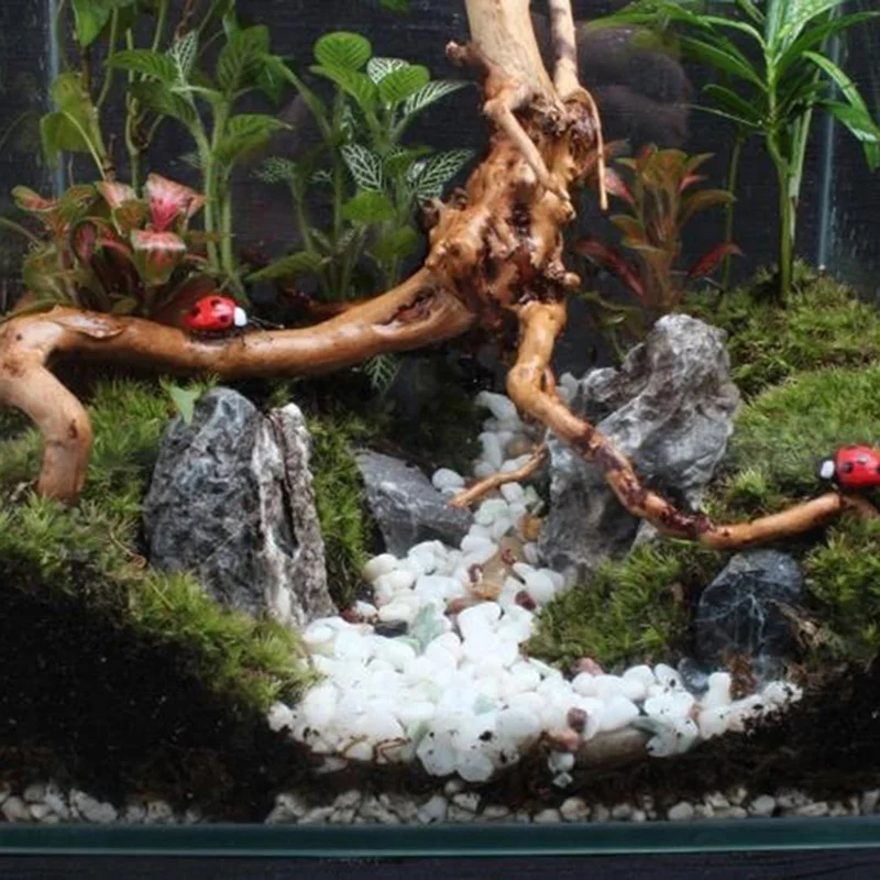 天然木の幹流木水族館の水槽爬虫類シリンダー作る根植物木の装飾 - Planted Aquarium Making のレビューと価格