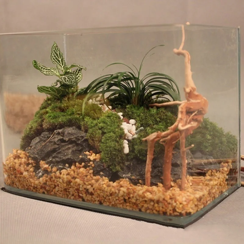 天然木の幹流木水族館の水槽爬虫類シリンダー作る根植物木の装飾 - Planted Aquarium Making のレビューと価格