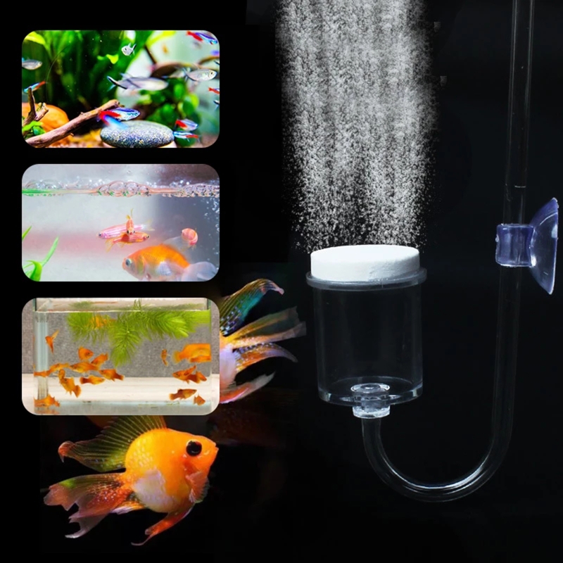 水族館用CO2ディフューザー,日曜大工のガラスタンク,バブル - Aquarium Plant Grass のレビューと価格