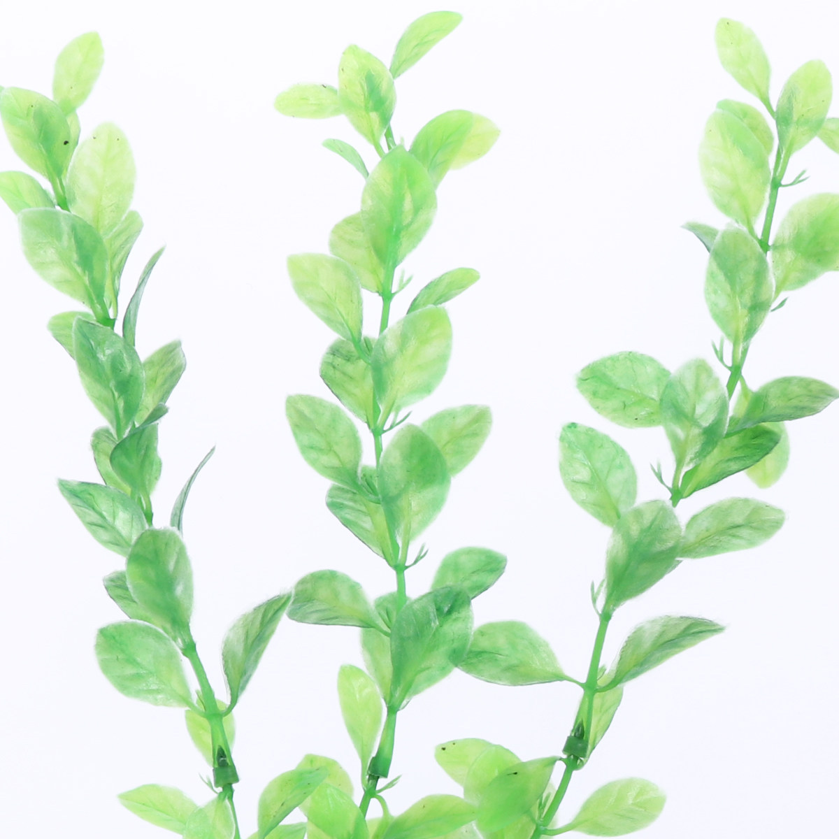 3個入り水槽用人工緑色プラスチック植物装飾セラミックベース水 - Non Planted Aquarium Fish のレビューと価格